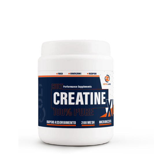 Creatine 100% pure XL - 500g